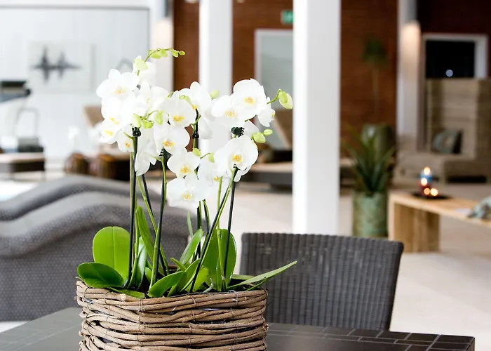 ホテル ヘッセレット ニュボー